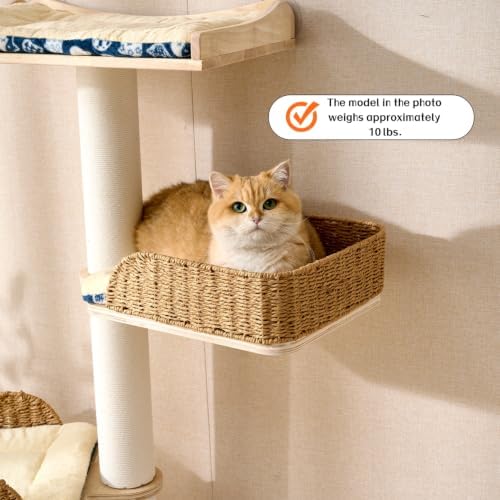 SHENGOCASE Ladder Cat Tree for Wall - Image 2