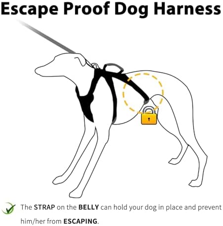 Huntboo Escape Proof Harness, No Slip Dog Harness Escape Proof, Fully - Image 2