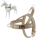 Plutus Pet No Pull Dog Harness for Puppy Small Dogs, Breathable Mesh Padded by PLUTUSPET