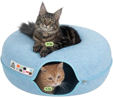 Cattasaurus Peekaboo Cat Cave Donut by Cattasaurus
