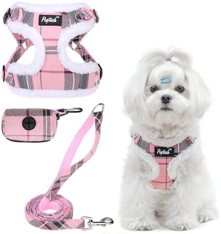 PUPTECK Dog Harness and Leash Set Small Sized, Step in No Pull Adjustable Puppy by PUPTECK