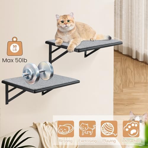 Cat Wall Shelves Set of 2, Wood Cat Shelves - Image 5