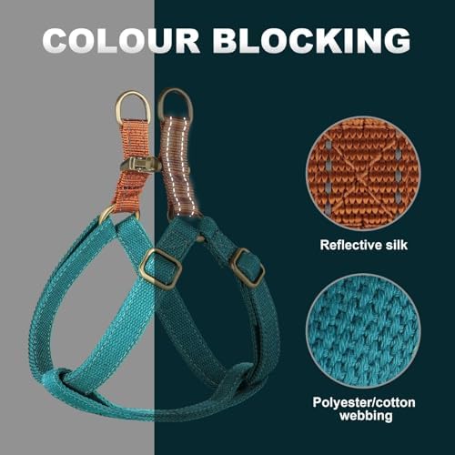 Didog Step in Dog Harnes for Small Dogs, Chest 14-22" - Image 3