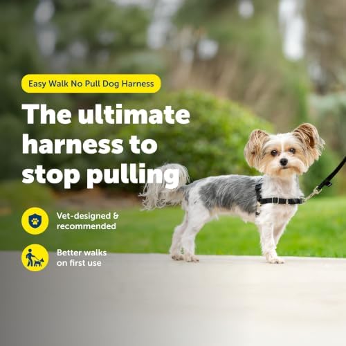 PetSafe Easy Walk Harness, No Pull Dog Harness, Petite/Small - Image 3
