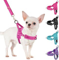 SlowTon No Pull Small Dog Harness and Leash Set by SlowTon