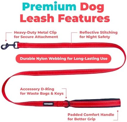Best Pet Supplies Voyager Nylon Dog Leash - 6ft Red - Image 2