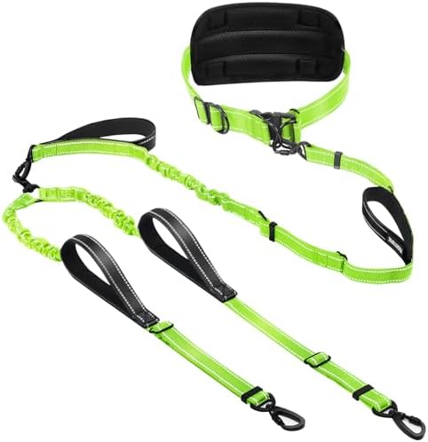 Hands Free Leash for 2 Large Dogs, No Tangle Waist Walking Bungee Leash by PawistaPal