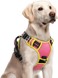 rabbitgoo Dog Harness for Large, No Pull 3 Buckles Easy On & Off by rabbitgoo