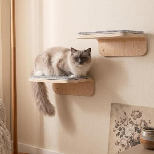 Wenqik 2 Pcs Cat Steps for Wall, Wooden Cat Climbing Shelf 10 x 10 x 4 Inch - Image 5
