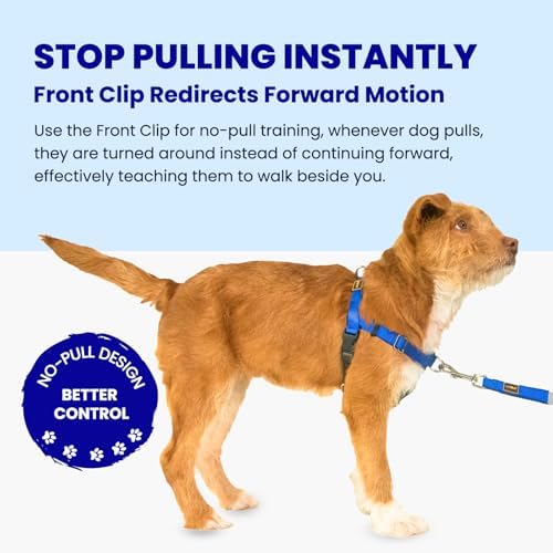 No Pull Dog Harness Front Clip - Image 2