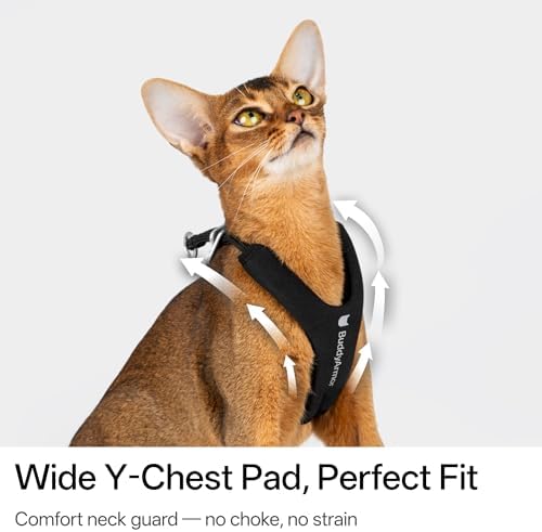 Escape Proof Y Shape Cat Harness Anti-Choke - Image 4