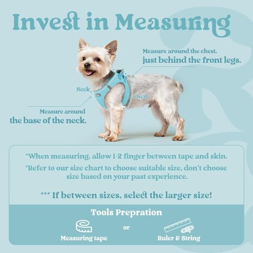 rabbitgoo Step-in Small Dog Harness, Puppy Vest - Image 2