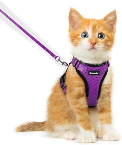 Dooradar Cat Harness and Leash Set, Adjustable and Escape Proof by Dooradar