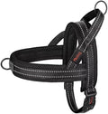 Didog No Pull Dog Harness for Small Dogs, Breathable Mesh Padded by Didog