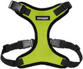 Voyager Step-in Lock Dog Harness by BestPetSuppliesLLC
