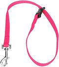 Country Brook Petz­ by CountryBrookPetz
