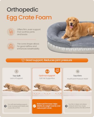 Feandrea Orthopedic Dog Bed - Image 3