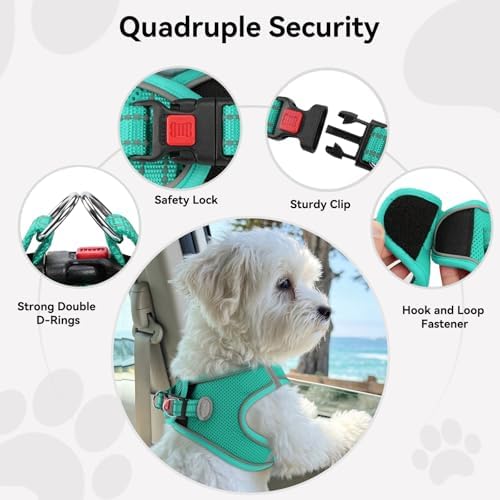 Joytale Step-in Dog Harness, Soft Breathable Mesh, Teal L - Image 6