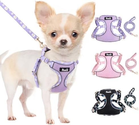 Lukovee Small Dog Harness and Leash Set, No Pull Lightweight Soft Mesh Vest by Lukovee