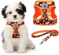 KOOLTAIL Fall Dog Harness and Leash Set by KOOLTAIL