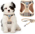 KOOLTAIL Dog Harness and Leash Set by KOOLTAIL