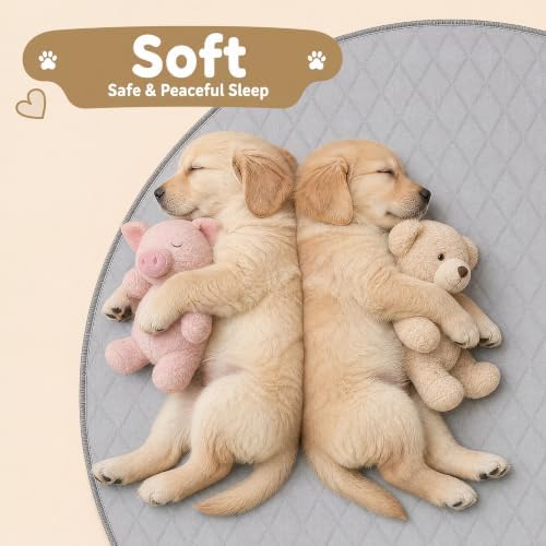 CoolShields Washable Pee Pads for Dogs, 1 Pack - Image 6