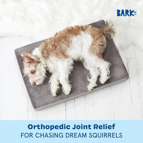 BarkBox Orthopedic Dog Bed - Image 4