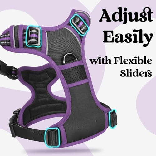rabbitgoo Dog Harness Medium Sized, Updated Easy On & Off - Image 3
