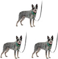 PetSafe Easy Walk Comfort No Pull Dog Harness by PetSafe