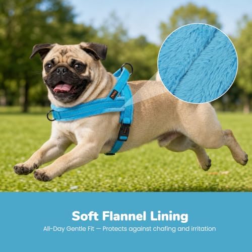 Didog No Pull Dog Harness for Small Dogs, Soft Flannel Padded - Image 2