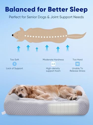 Rywell 3-in-1 Cooling Dog Bed Large, Arc-Chill Tech - Image 3