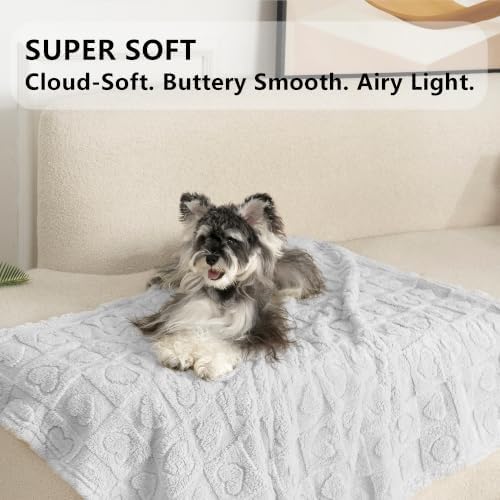 gogobunny Pet Blanket for Dogs Cats, 300GSM Ultra Soft Coral Fleece Blanket - Image 3