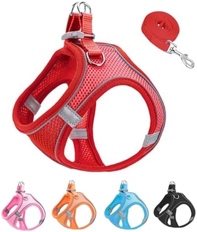 XXXS Red Soft Mesh Dog Harness and Leash Set, No Escape Puppy Harnesses by Unknown
