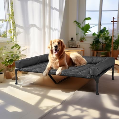 Veehoo Outdoor Elevated Dog Bed by Veehoo