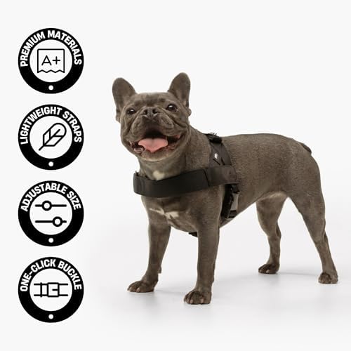 Dog Friendly Co. Dog Harness for Medium Dogs - Image 4
