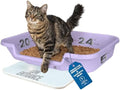 KittyGoHere Senior Cat Litter Box, Large Litter Pan, Storybook Lavender by NE14pets