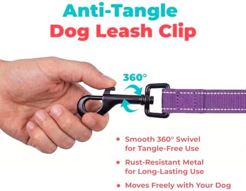 Best Pet Supplies Voyager Nylon Dog Leash - 6ft Purple - Image 7