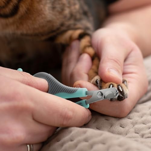 Mr. Pen- Cat Nail Clipper, Stainless Steel - Image 4