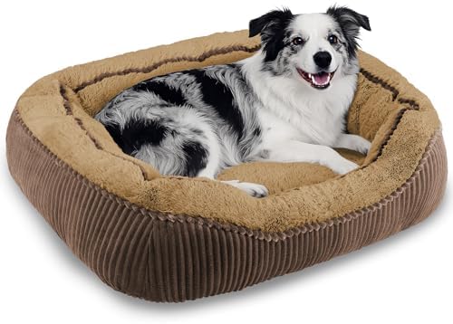 Washable Dog Bed Medium Size Dogs, Orthopedic Pet Bed by SIWAMARY