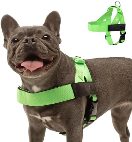 Dog Friendly Co. Dog Harness for Medium Sized Dogs by DogFriendly