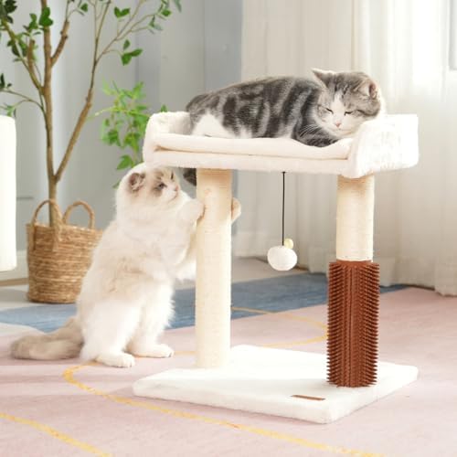 Cat Scratching Post Small Cat Tree - Image 6