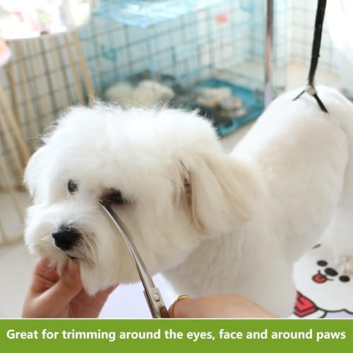 HASHIMOTO Curved Dog Grooming Scissors - Image 4
