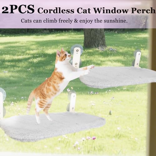 2 PCS Window Cat Bed - Image 4