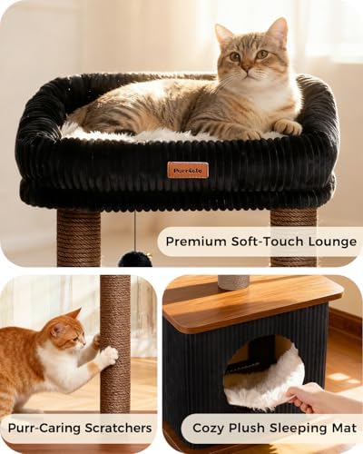 Small Cat Tree for Indoor Kittens - Image 3