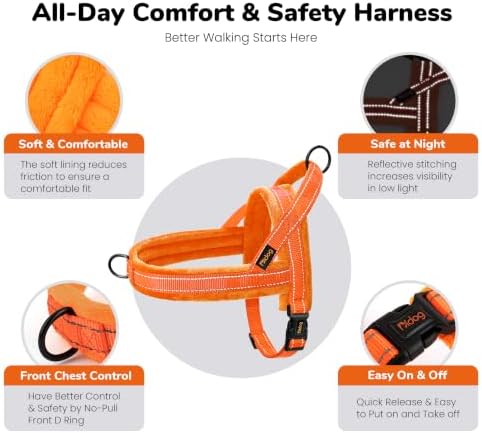 Didog No Pull Dog Harness for Small Dogs, Soft Flannel Padded - Image 5