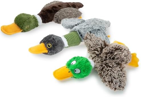 Best Pet Supplies Interactive Squeaky Dog Chew Toy, Ideal Dog Toys by BestPetSuppliesLLC