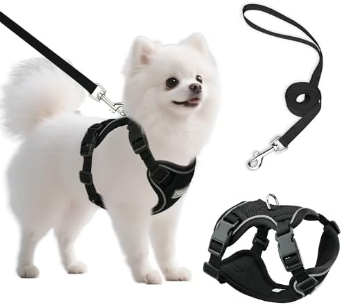 Small Dog Harness and Leash Set, Adjustable Small Sized Pet Vest by Unknown