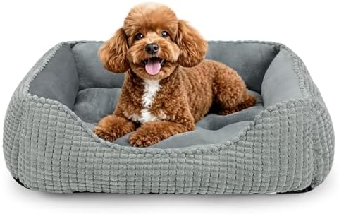 MIXJOY Rectangle Washable Orthopedic Dog Bed by MIXJOY
