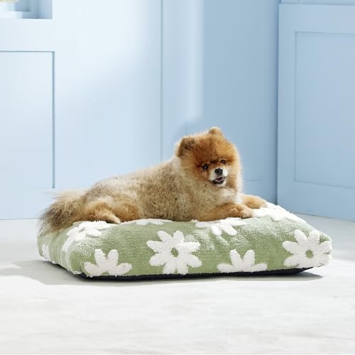 LE SURE Cute Aesthetic Small Dog Bed, Jacquard Thick Pet Pillow 24x16 - Image 6