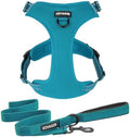 Voyager Dog Harness Dual Leash Attachment No-Pull Control Adjustable Soft but by BestPetSuppliesLLC